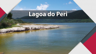 Imagem mostra a Lagoa do Peri, em Florianópolis. Em primeiro plano há água em tom que vai do amarelo para um azulado e ao fundo aparece uma pequena praia, que mostra o recuo da linha de água e um pouco do assoreamento
